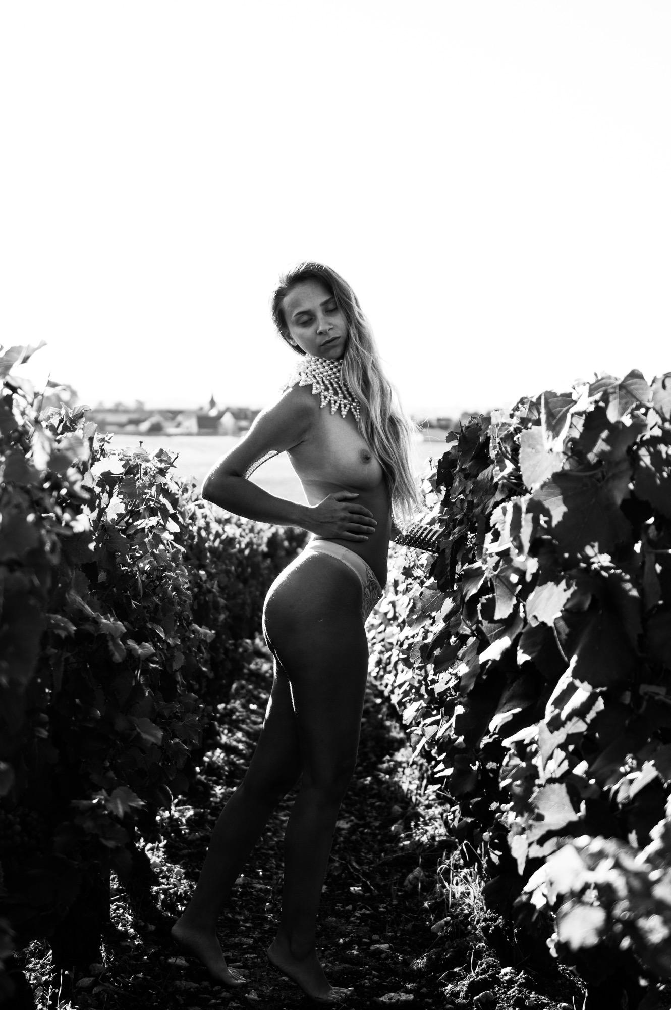 The Virgin Of The Vineyard - Kevvyn Boucher Photographies & Bibesia Image 4